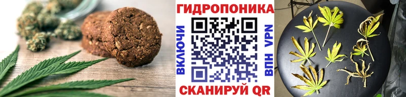 Canna-Cookies конопля  kraken ссылки  Вязьма  купить  цена 