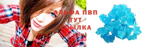 ешки Болотное