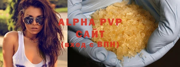 ешки Болотное