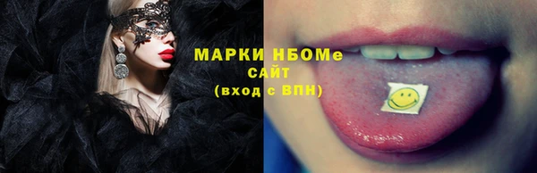ешки Болотное