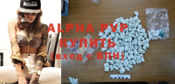 ешки Болотное