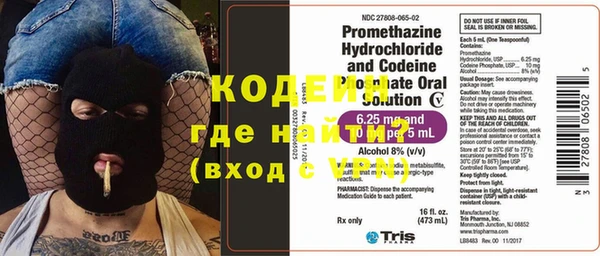 ешки Болотное