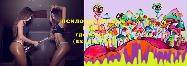 стафф Болхов