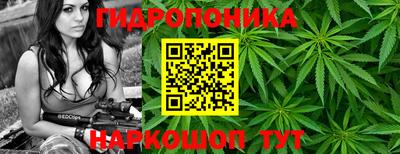 apvp Берёзовский