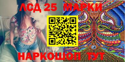 спиды Бийск