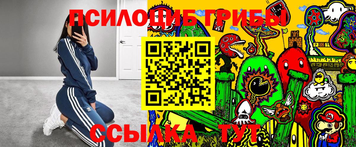 Псилоцибиновые грибы Cubensis  Вход с VPN  что такое   Вязьма 